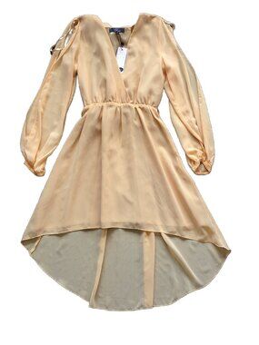 Rare Peach Boho Mesh Flowy Longsleeve High Low Dress